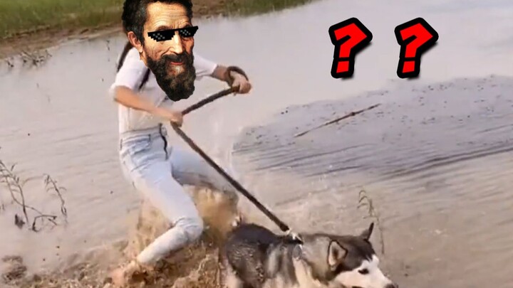 【Hành vi khó hiểu của con người】130: Những màn “cà khịa” đỉnh cao của loài người