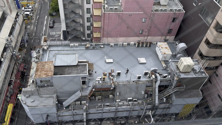 สำรวจสภาพจิตใจชาวญี่ปุ่น: แมวบนดาดฟ้าจ้องมองคุณลุงวัยกลางคนพาตะพาบเดินเล่น