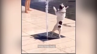 T xem mà t cười như được mùa ý #videohai