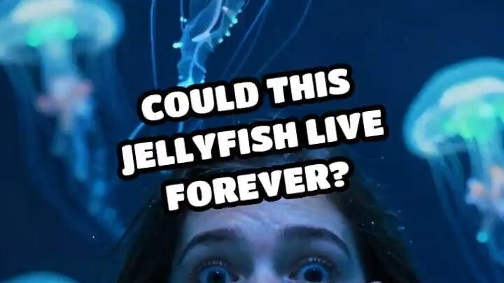 Could This Jellyfish Live Forever?