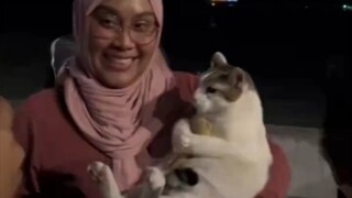 Socially anxious cat, it feels like it's going to drop pearls