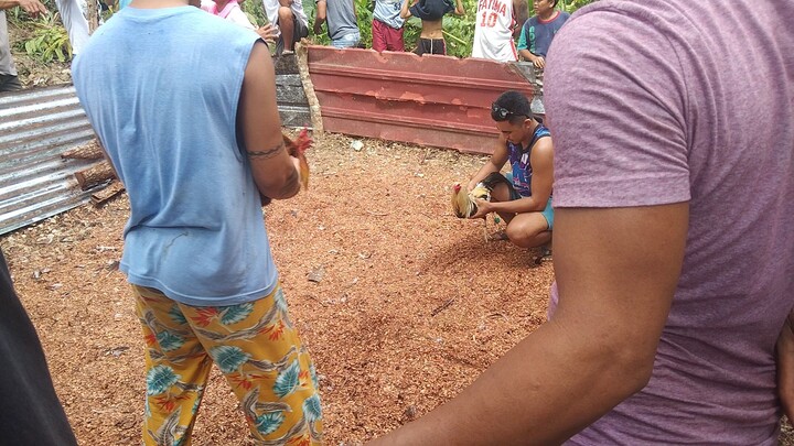 2nd fight (nakabawi din win Ang alimbuyugin)