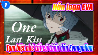 Hỗn loạn EVA| Tạm biệt nhé tất cả thần dân Evangelion ._1