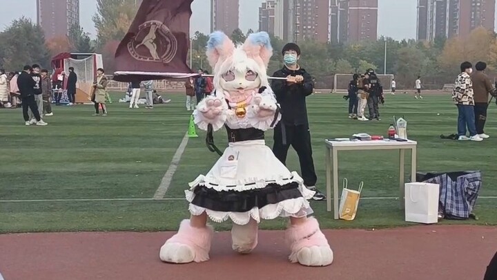 Don't fear that cute critters are cultured; what you should really worry about is when they start fi