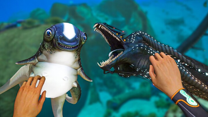 Baby Gargantuan vs Cuddlefish