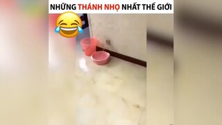 Những thánh nhọ nhất thế giới