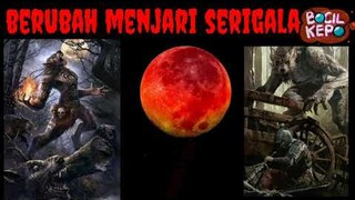 BULAN MERAH DARAH ? Benarkah SANGAT MENAKUTKAN 😱 Sungguh  Membagongkan ! - Kartun Indonesia