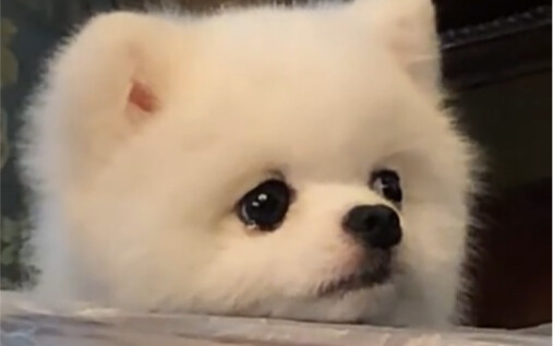 Hurry up and let the kid take a bite—my eyes are already tearing up!