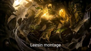 Leesin Montage 2021