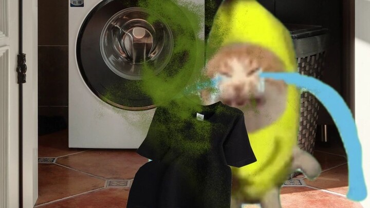 Banana Cat: The Memory of Today's Young People