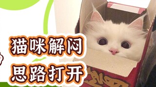 没有小猫能拒绝《猫和老鼠》吧？它真的，超爱！