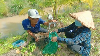 Lần đầu vợ chồng Tư kéo chài dưới nước dính ếch khủng