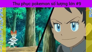 Thu phục pokemon số lượng lớn p9