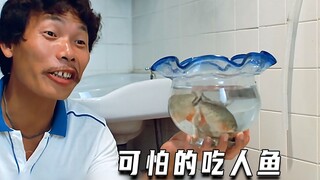 可怕的吃人鱼《吉人天相》