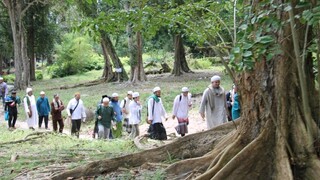 Pulau besar