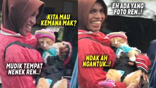 LUCU BANGET..! Tiba-tiba Kalem, Saat Emak Ajak Si Oren Mudik Lebaran ~ Kucing Lucu Mudik Lebaran