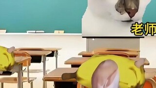 What happens if the teacher disagrees with my request for leave?