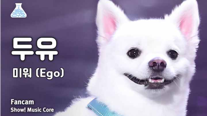 DoYou ถั่วเหลือง – ไลฟ์โชว์อีโก้ | Show! Music Core MBC 231118