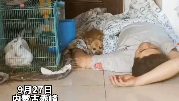 ชายคนหนึ่งเมาแล้วเก็บลูกหมาจรจัดกลับบ้าน ทั้งสองนอนพิงกันอยู่หน้าประตูบ้าน ขณะที่ภรรยาบอกว่า “ชินแล้