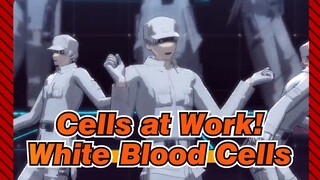 Cells at Work!|New-White Blood Cells× Merci Caprice