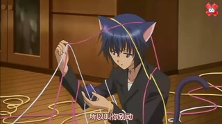 猫猫是无法拒绝毛线球的【守护甜心高清版】