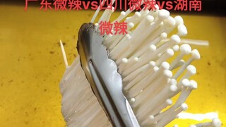 Guangdong's slightly spicy vs Sichuan's slightly spicy vs Hunan's slightly spicy
