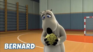 BERNARD BEAR || HANDBALL - CARTOON CHILDREN