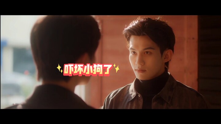 นึกว่าซูหลางจะจากไป เกือบทำให้เจ้าหมาน้อยแสนเชื่องร้องไห้เลยทีเดียว