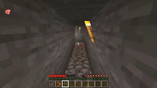 HEBI THỬ THÁCH BIẾN CREEPER THÀNH CON HEO TRONG MINECRAFT_HEBI 24 GIỜ LÀM CREEPE