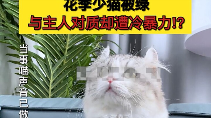 《明日喵法》：家庭主喵遭遇背叛，当事人却不承认？