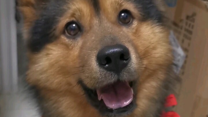 ใครจะทนไหวเนี่ย?