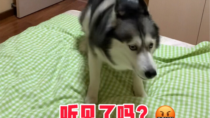 Bé Bé: Dẫn con một ngày không nói đến công lao, ngay cả vất vả cũng chẳng xứng đáng.