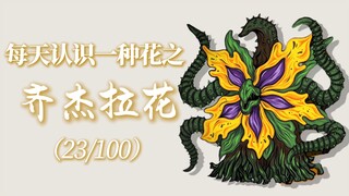 "The flower language of the Zijella flower is sweet decadence and the gentle land of doom."