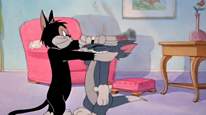 [Cat and Jerry] Đây là MV mới của "Kung Fu Trung Hoa"