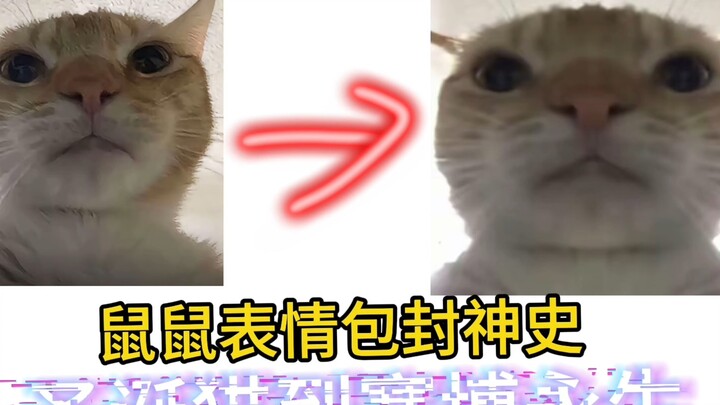 ⚡️The Evolution of “Shu Shu” Meme Packs⚡️