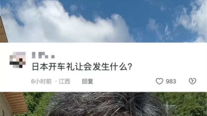 Trình độ lái xe của người Nhật thế nào?