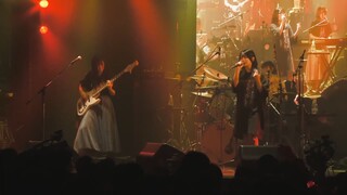 TOGENASHI TOGEARI - Zattou, Bokura no Machi [Live Performance]