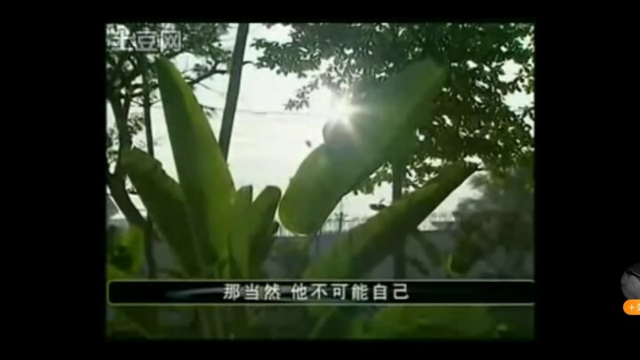 Chen Qili and Wang Xiling Arrested