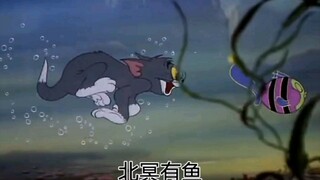 【猫和老鼠】北冥有鱼，其名为鲲【形象记忆】