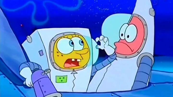 ⚡️Confusing Behavior of Marine Life⚡️ (Forty-seven)