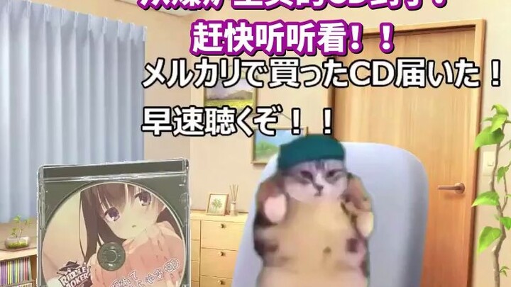 【熟肉】午休时听奥术魔刃不小心耳机插孔掉了让单位沸腾的故事 | 猫meme
