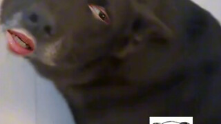 Bukan, teman, kenapa begitu?