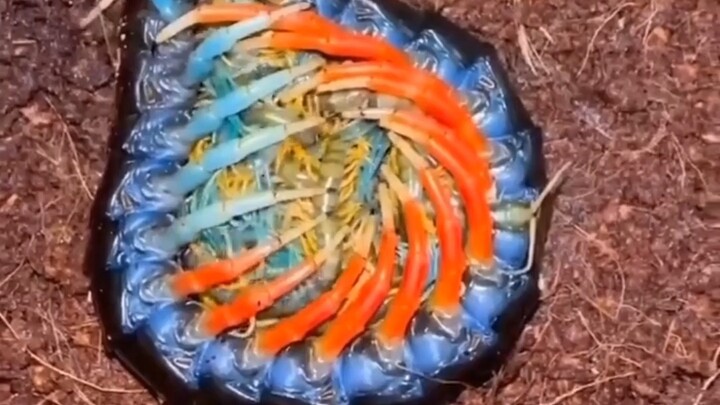 My scalp’s tingling so bad it’s practically cramping!