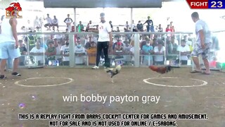 bobby payton gray ( win) baras rizal