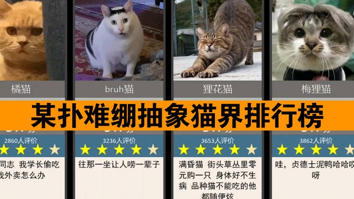 （某扑难绷评论）抽象猫界评分排行榜（选取评论数前49个，且不重复）你能猜到谁是抽象猫界的第一名吗？