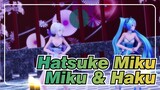 [Hatsune Miku / MMD] Miku & Haku - Dameyo