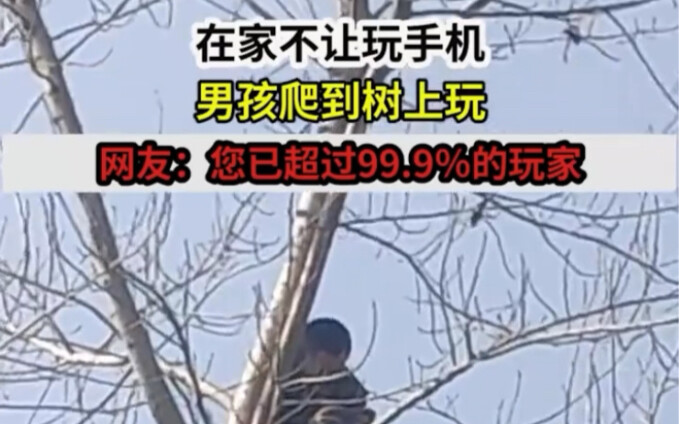 Ở nhà không được chơi điện thoại, cậu bé trèo lên cây để chơi; cư dân mạng: Bạn đã vượt qua 99% rồi!