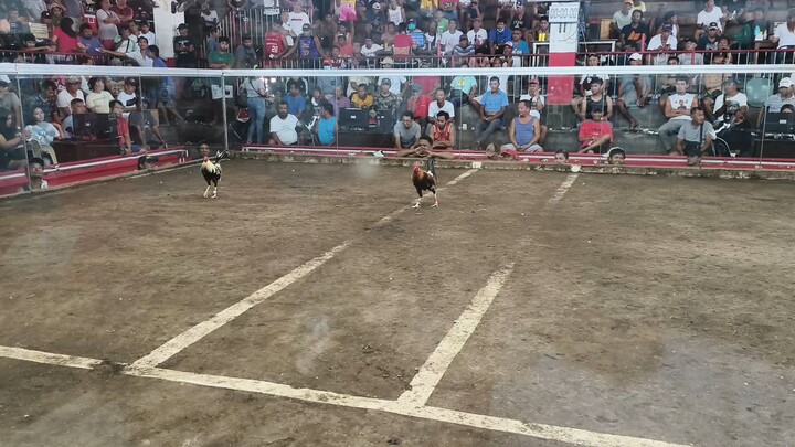 5x winner.  red kelso