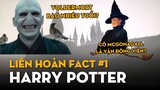 Liên Hoàn Facts #1: Harry Potter | Ten Tickers