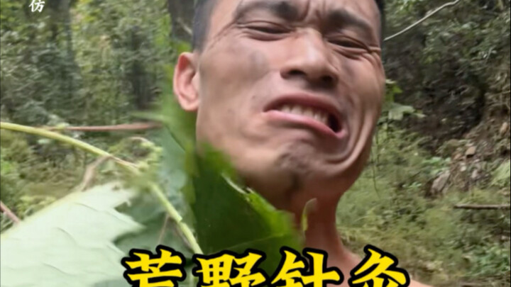 中国贝爷进山就是胡球吃